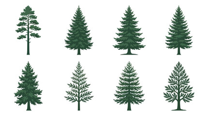 Obraz premium Collection of evergreen tree silhouettes