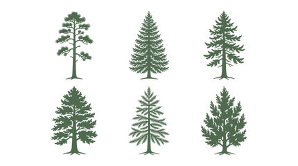 Obraz premium Collection of evergreen tree silhouettes