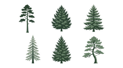 Collection of coniferous tree icons © Aester