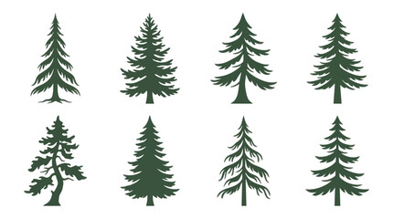 Obraz premium Collection of evergreen tree silhouettes