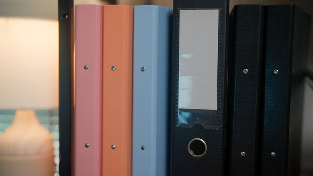 Pink, orange, blue, and black binders stand tall. Metal fasteners gleam under soft, warm lighting. One binder has a clear window, revealing nothing inside