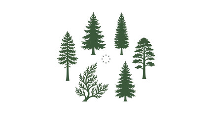 Obraz premium Collection of evergreen tree silhouettes