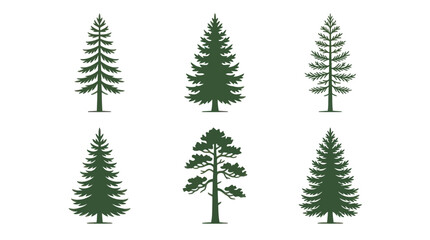 Obraz premium Collection of evergreen tree silhouettes