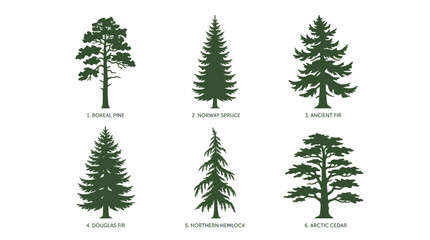 Collection of coniferous tree silhouettes © Aester