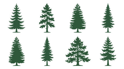 Collection of evergreen tree silhouettes © Ardilla