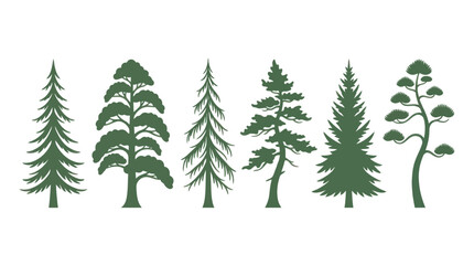 Obraz premium Collection of evergreen tree silhouettes