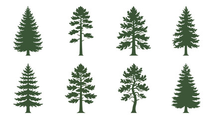 Obraz premium Collection of evergreen tree silhouettes