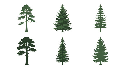 Obraz premium Collection of evergreen tree silhouettes