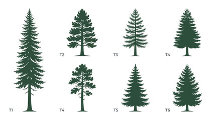 Obraz premium Collection of evergreen tree silhouettes