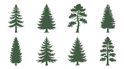 Obraz premium Collection of evergreen tree silhouettes