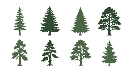 Fototapeta premium Collection of evergreen tree silhouettes