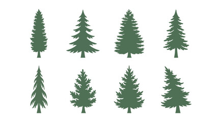 Obraz premium Collection of evergreen tree silhouettes