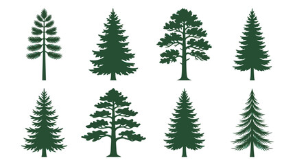 Fototapeta premium Collection of evergreen tree silhouettes