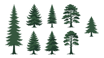 Fototapeta premium Collection of evergreen tree silhouettes