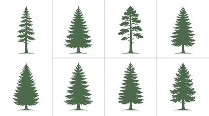 Obraz premium Collection of evergreen tree silhouettes