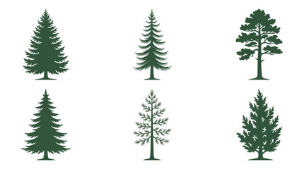 Obraz premium Collection of evergreen tree silhouettes