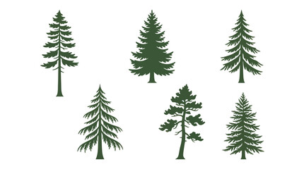 Obraz premium Collection of evergreen tree silhouettes
