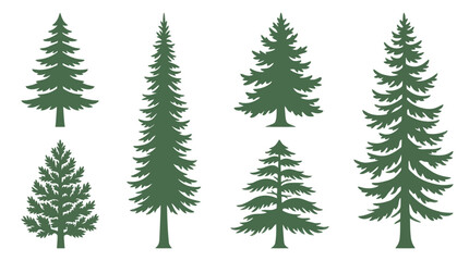 Fototapeta premium Collection of evergreen tree silhouettes