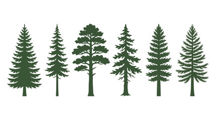 Obraz premium Collection of evergreen tree silhouettes