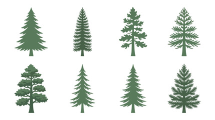 Fototapeta premium Collection of evergreen tree silhouettes