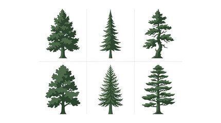 Obraz premium Collection of evergreen trees