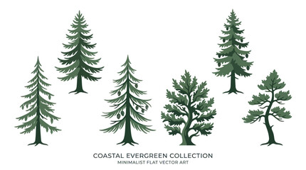 Obraz premium Collection of evergreen trees
