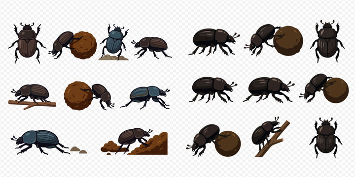 Set of various dung beetle cartoon characters in different poses and actions on transparent background.