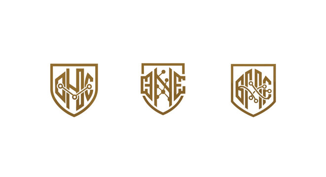 Three ornate golden shield emblems with monograms.