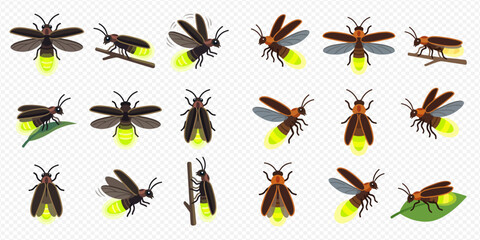 Set of fireflies in various poses, glowing yellow, isolated on a transparent background, vector illustration. © Akun