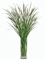 Fototapeta premium photograph of orchid stems in glass vase, white background, focus on natural curves and petal details, copy space for design use. orchid, stems, vase, glass, white background, minimalist, natural, 