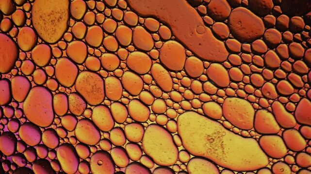 Abstract Oil Bubble Texture Pattern in Orange and Purple Light