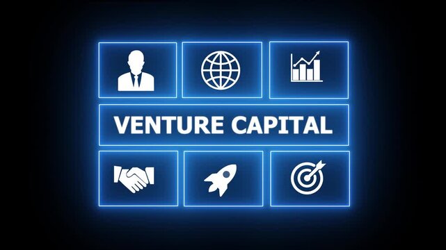 Business, Technology, Internet and network concept. " VENTURE CAPITAL " business and finance concept. compliance, and performance, often conducted by internal or external auditors. 4k video