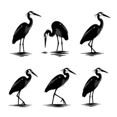 Fototapeta premium Great blue heron silhouettes, set of 6 black bird vector icons, elegant wading birds in water, minimalist wildlife illustration for nature logos