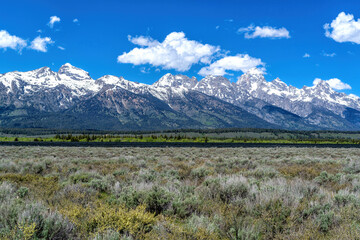 Grand Teton NP. Landscape in the spring, with snow on the mountains, in Grand Teton National Park, in the United States of America. © henk bogaard