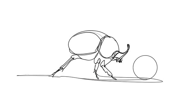 Dung beetle pushing ball on white background.