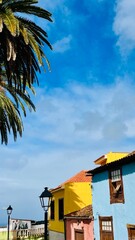 Colorful buildings and palm trees in La Orotava, Tenerife © photoopus