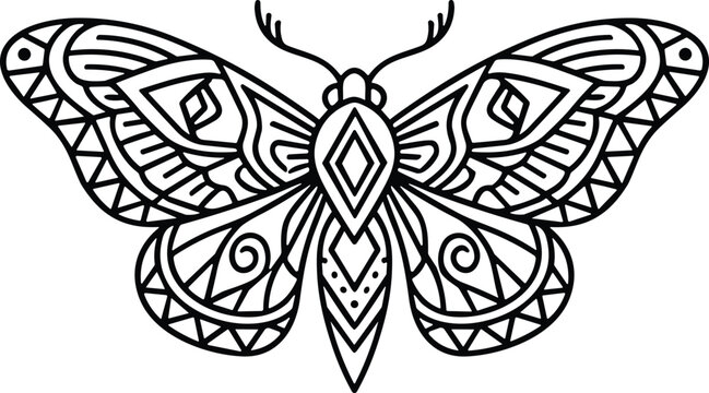Ornate mystic moth vector illustration featuring symmetrical abstract line work and geometric tribal wing patterns for bohemian esoteric tattoo design isolated on white background