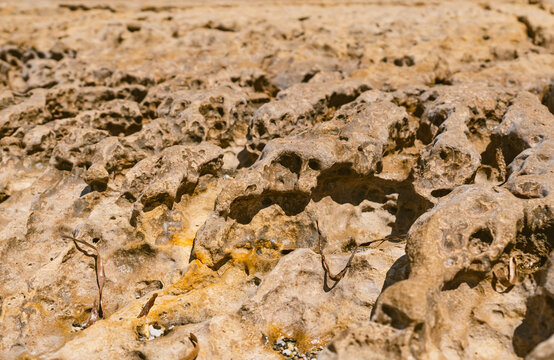 Close-up of crevices and karst ribs in limestone rocks