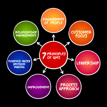 7 PRINCIPLES OF QMS diagram outlining customer focus, leadership, engagement of people, process approach, improvement, evidence decision making, and relationship management for quality standards.