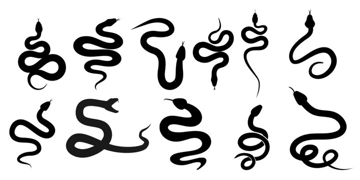 Snake Silhouette Icons Collection Vector Illustration