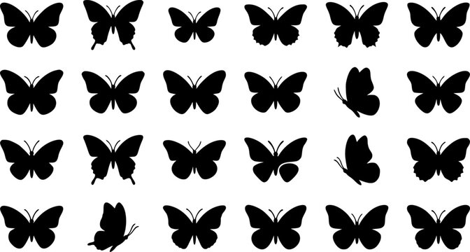 set of vector icon various butterfly silhouette
