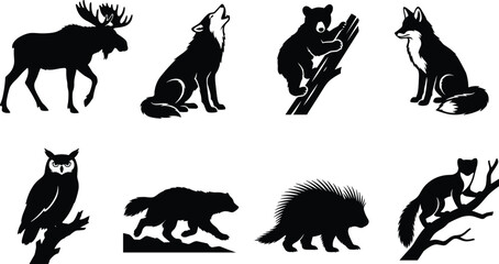 Collection of forest and wild animal black silhouettes including moose wolf bear cub fox owl porcupine wolverine and marten © Tahera
