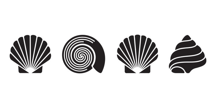 Black seashell icons, four distinct coastal shell silhouettes with clean minimal vector design for graphic projects