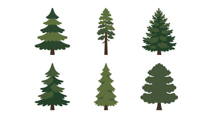 Collection of coniferous tree icons © Ditz