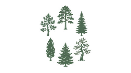Collection of diverse coniferous and deciduous trees © Ditz