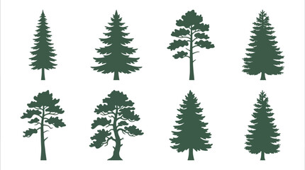 Obraz premium Collection of evergreen tree silhouettes
