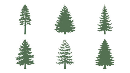 Obraz premium Collection of evergreen tree silhouettes