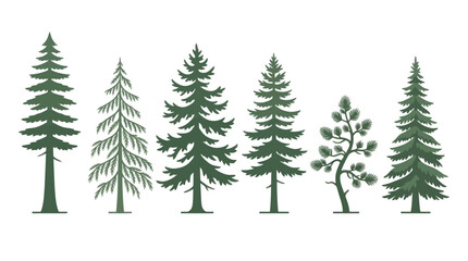 Obraz premium Collection of evergreen tree silhouettes