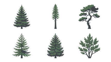 Fototapeta premium Collection of evergreen trees
