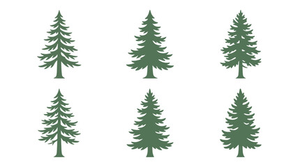 Obraz premium Green pine tree illustrations